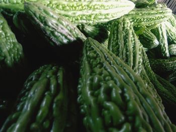 Full frame shot of fresh bittergourd