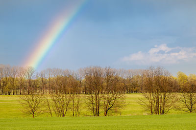 Scenic view of rainbow over field against sky