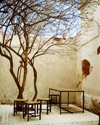 Table and trees