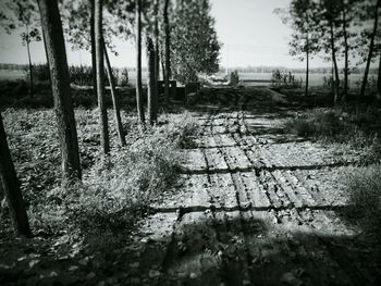 Road passing through field