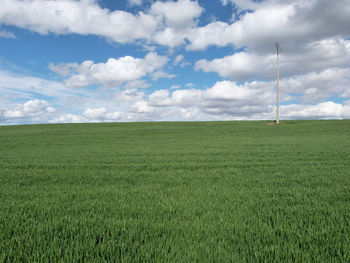 Scenic view of grassy field against cloudy sky