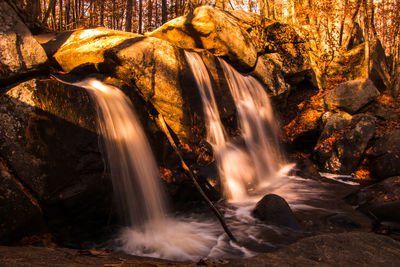 Scenic view of waterfall in forest