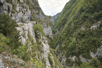 Scenic view of mountains