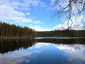 Scenic view of lake in forest against sky
