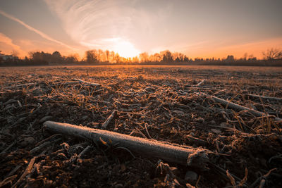 Scenic view of field against sky during sunset
