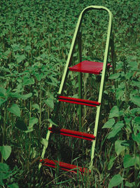Red chairs and plants on field