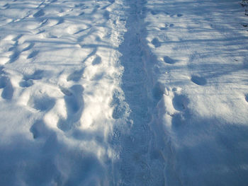 High angle view of snow covered field