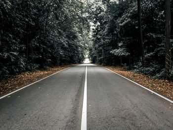 Empty road along trees