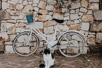 Bicycle leaning against wall