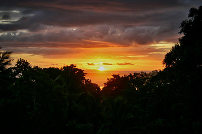 Silhouette trees against sky during sunset