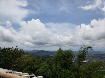 Scenic view of trees on landscape against sky