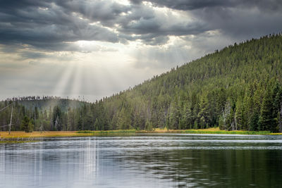 Scenic view of lake by trees against sky