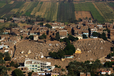 Aerial view of a field