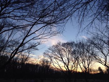 Silhouette bare trees against sky during sunset