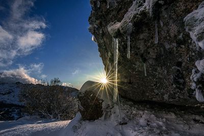 Sunlight streaming through snow covered trees against sky