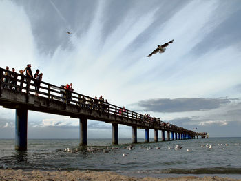 Seagulls flying over sea