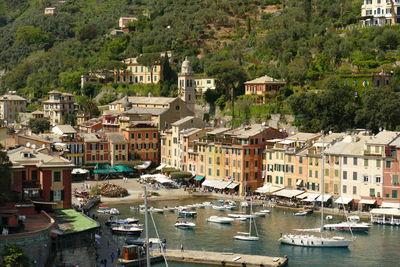 High angle view of boats moored at harbor