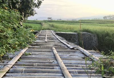 Boardwalk leading towards agricultural field against sky