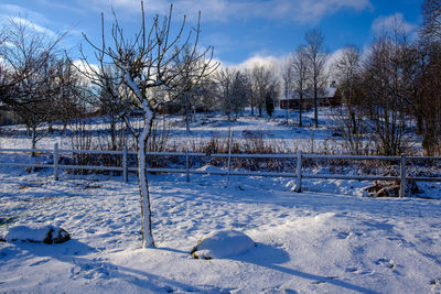 Snow covered field against sky