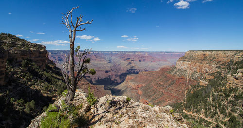 View of landscape with mountain in background