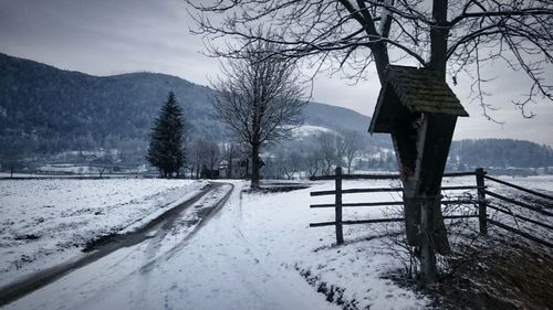 Bare trees on snow covered field