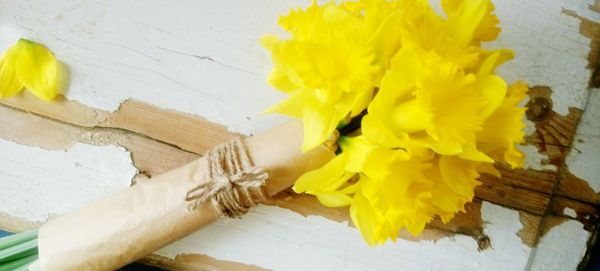 Close-up of yellow flowers