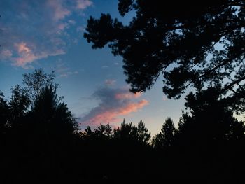 Low angle view of silhouette trees against sky at sunset