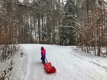 Child holding sled on snow covered field at forest