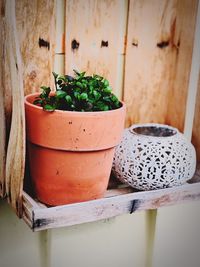 Close-up of potted plant on table