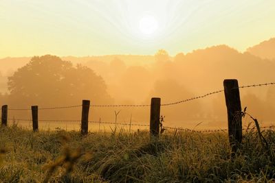 Scenic view of field against clear sky during sunset