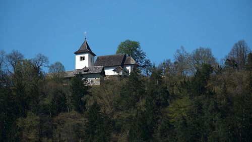 Low angle view of trees and building against sky