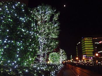 Low angle view of illuminated christmas tree at night