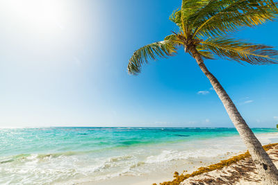 Scenic view of sea against blue sky