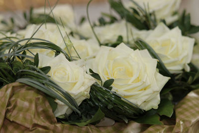 Close-up of white roses