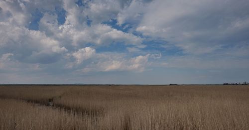 Scenic view of field against cloudy sky