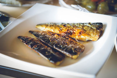 High angle view of fish served in plate