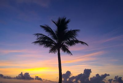 Low angle view of silhouette palm tree against sky at sunset