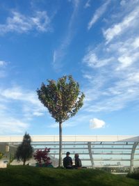 Silhouette of trees against cloudy sky