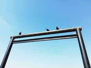 Low angle view of bird perching against clear blue sky