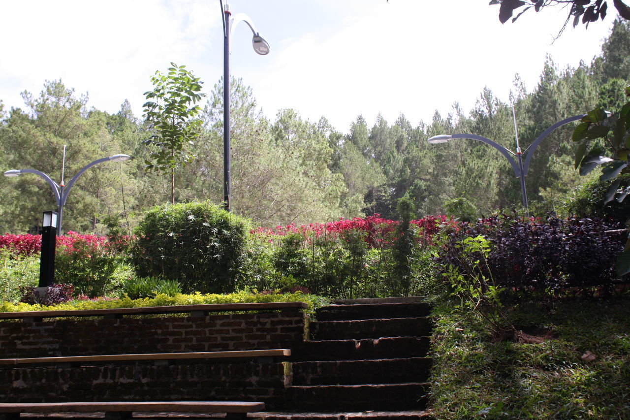 EMPTY BENCH IN GARDEN