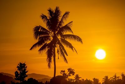 Silhouette of palm trees at sunset