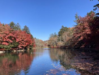 Scenic view of lake by trees against clear blue sky