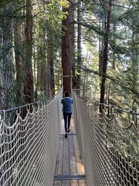 Redwood bridge