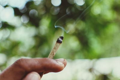 Close-up of human hand holding tobacco product