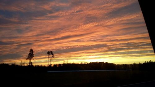silhouette
