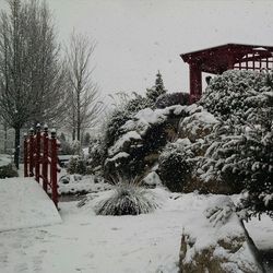 Snow covered landscape