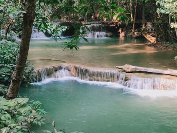 Scenic view of waterfall in forest