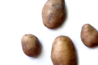 Close-up of eggs in white background