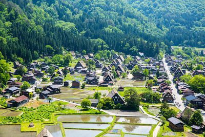 High angle view of trees and building