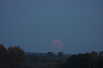 Scenic view of field against clear sky
